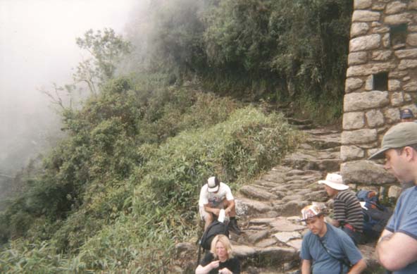 Trail disappears into the jungle